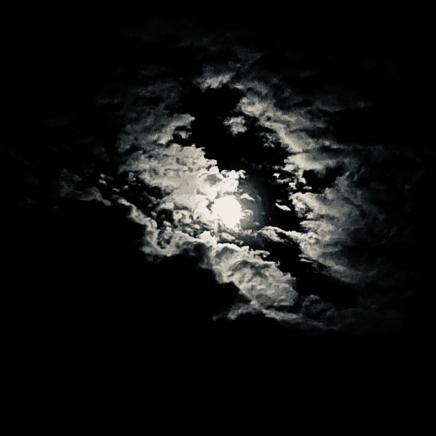 Mister Mojo Risin'. (C) Herr Montag.