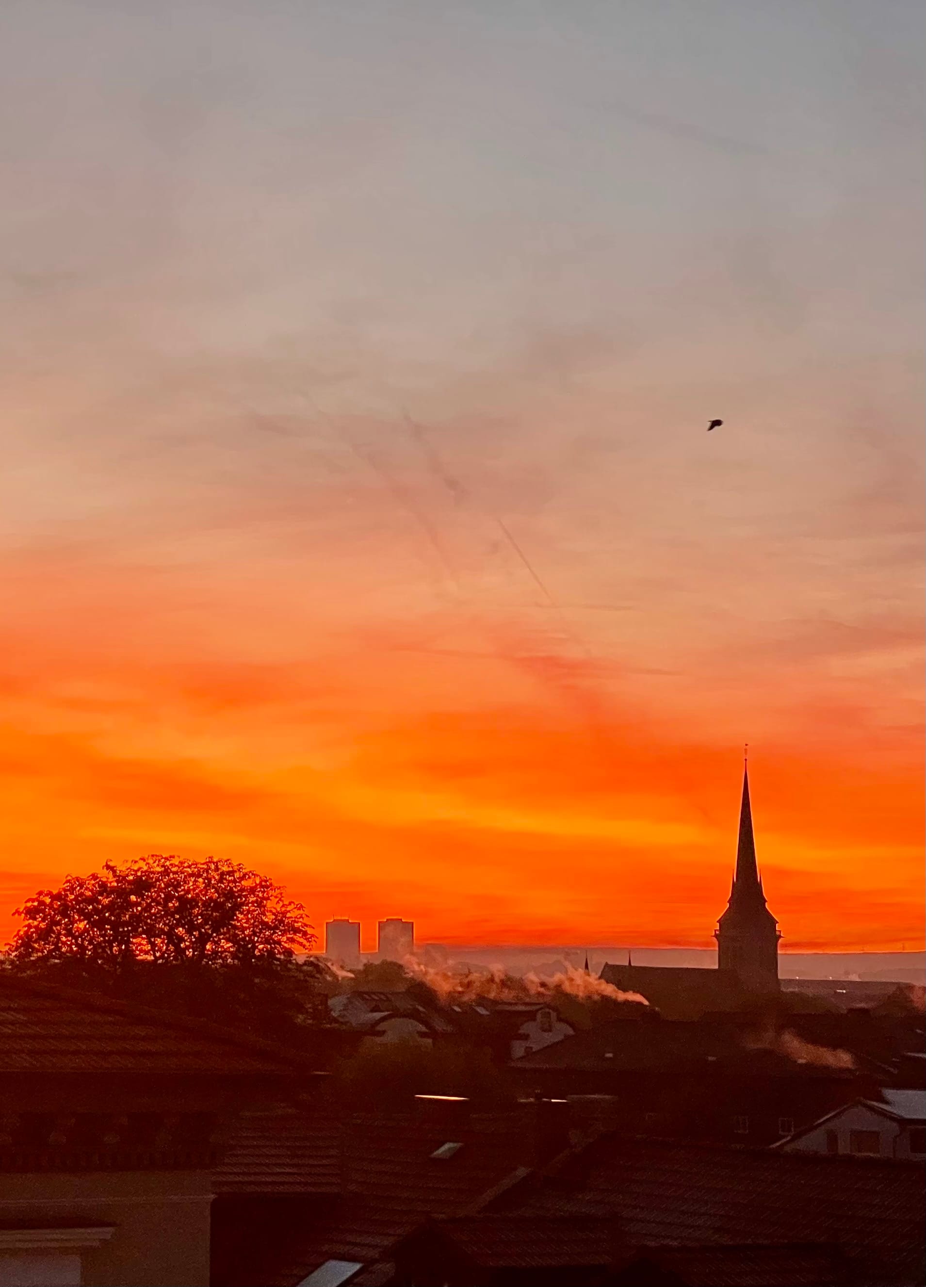 Der Himmel blutrot. Ein Vogel entfliegt, vielleicht ist es ein Rabe. (C) Herr Montag.