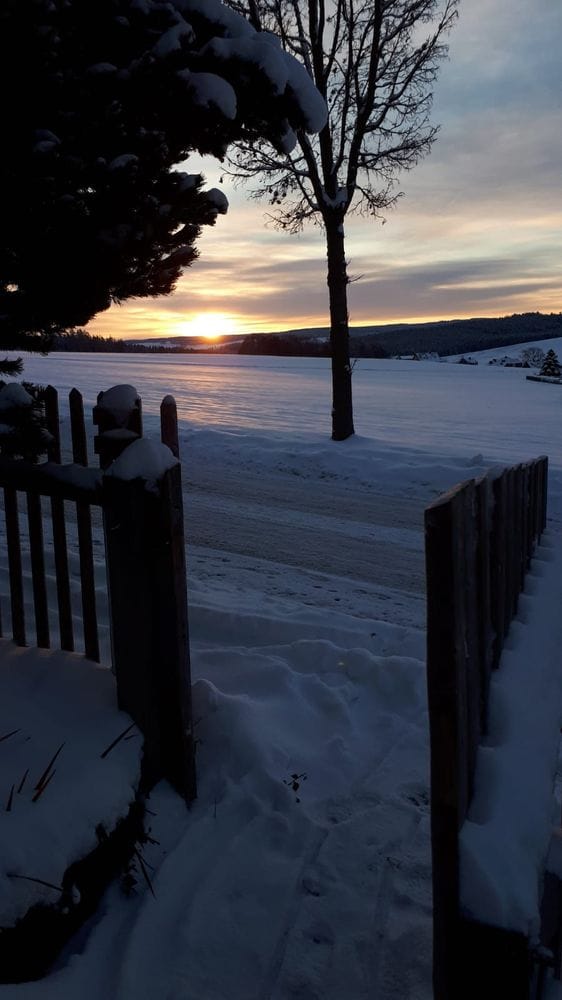 Sonnenaufgang über dem Schneefeld. Im Vordergrund karge Bäume. (C) Herr Montag.