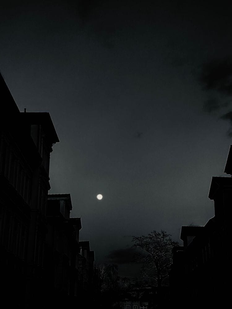 Ein Straßenzug, links und rechts Gründerzeithäuser. Das Bild ist sehr dunkel gehalten, am Himmel sieht man den Vollmond. (C) Herr Montag.