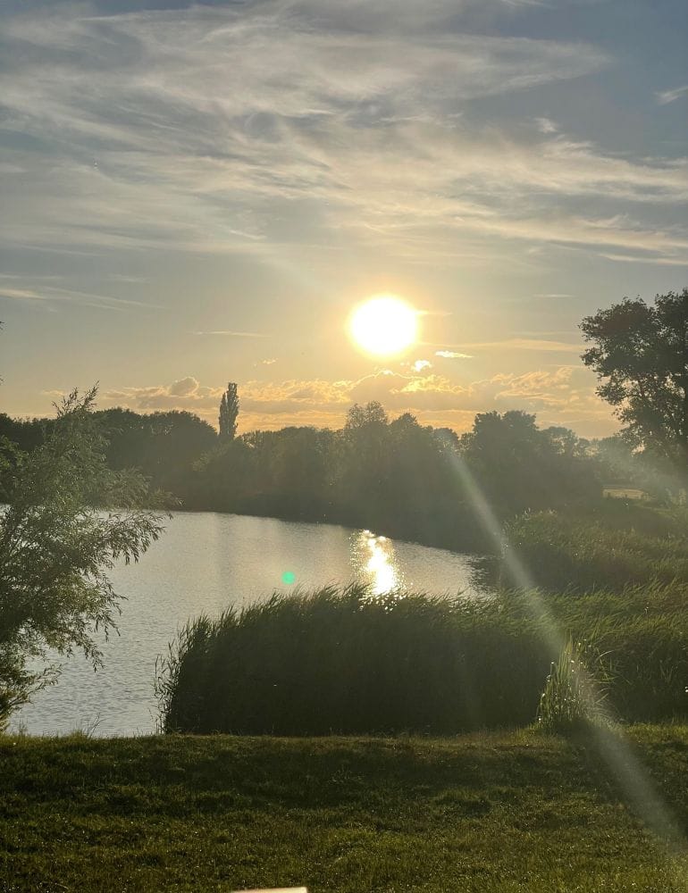 Sonnenuntergang an einem See. Schilf, grün, Wasser. Wolken mäandern