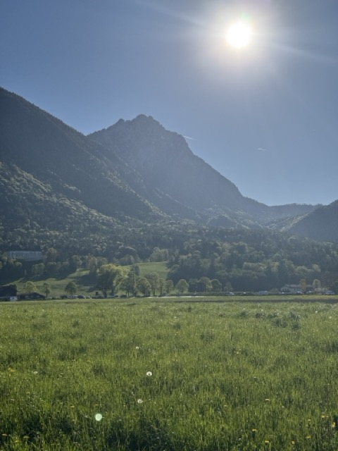 mittel-img_4804-